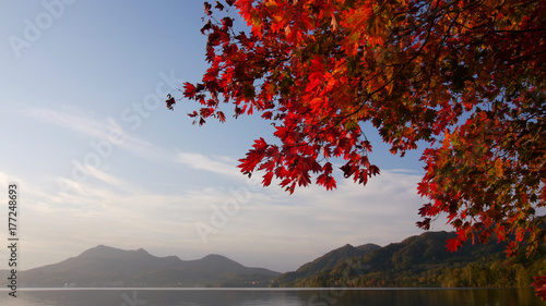 湖畔の紅葉 © hoshi