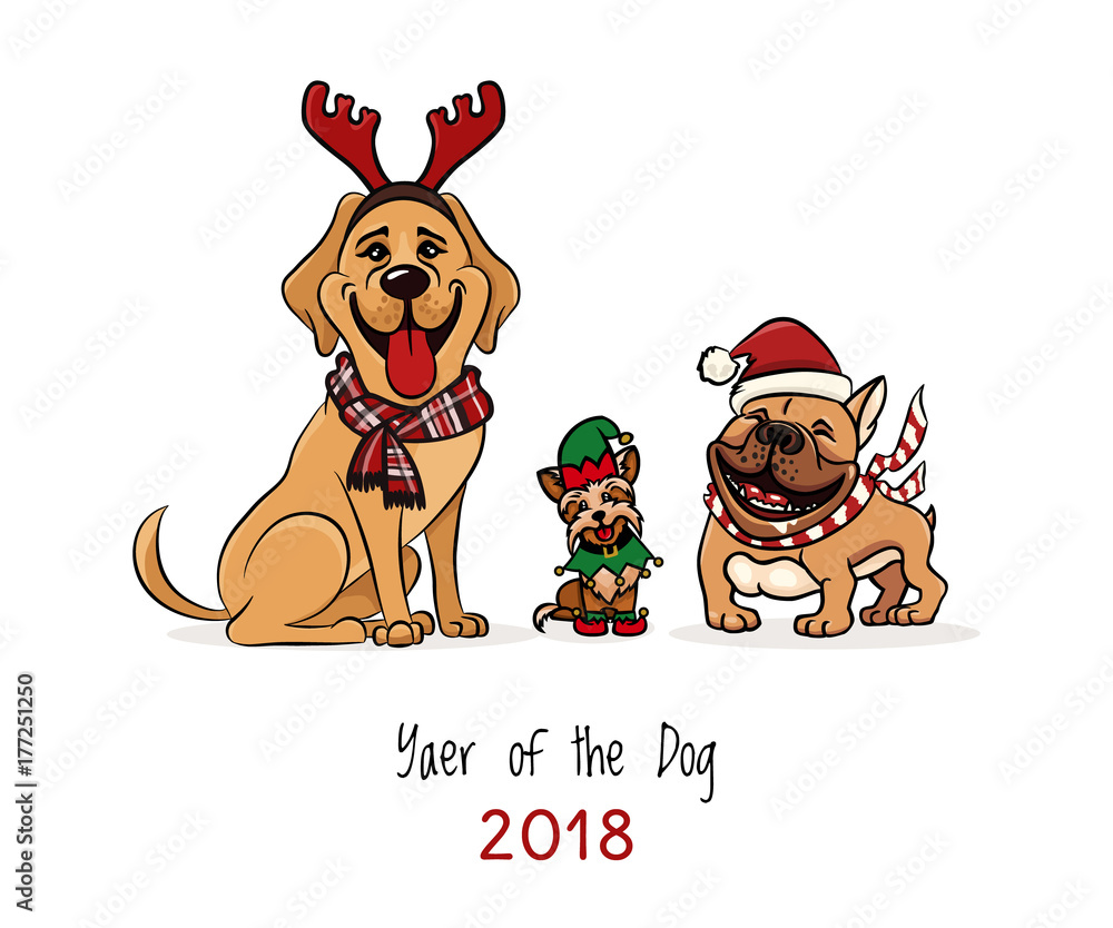 Fototapeta premium yorkshire terrier little assistant santa