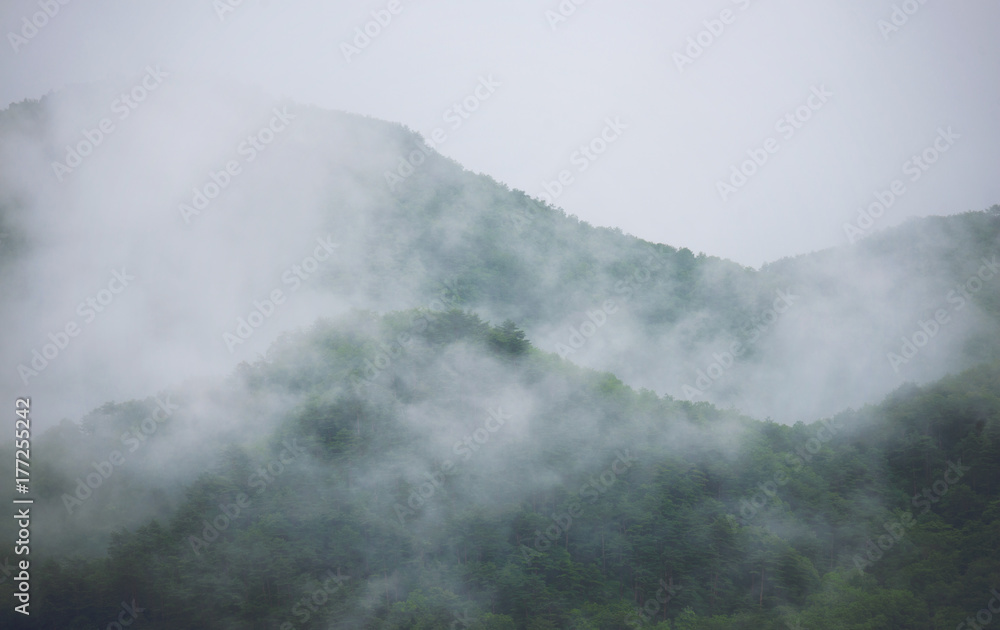 朝靄に包まれる山