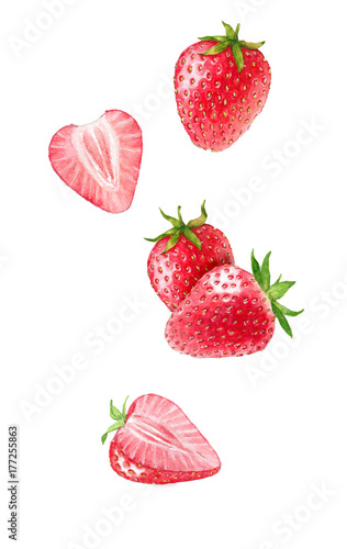 Hand drawn watercolor illustration of the different flying strawberry isolated on the white background.