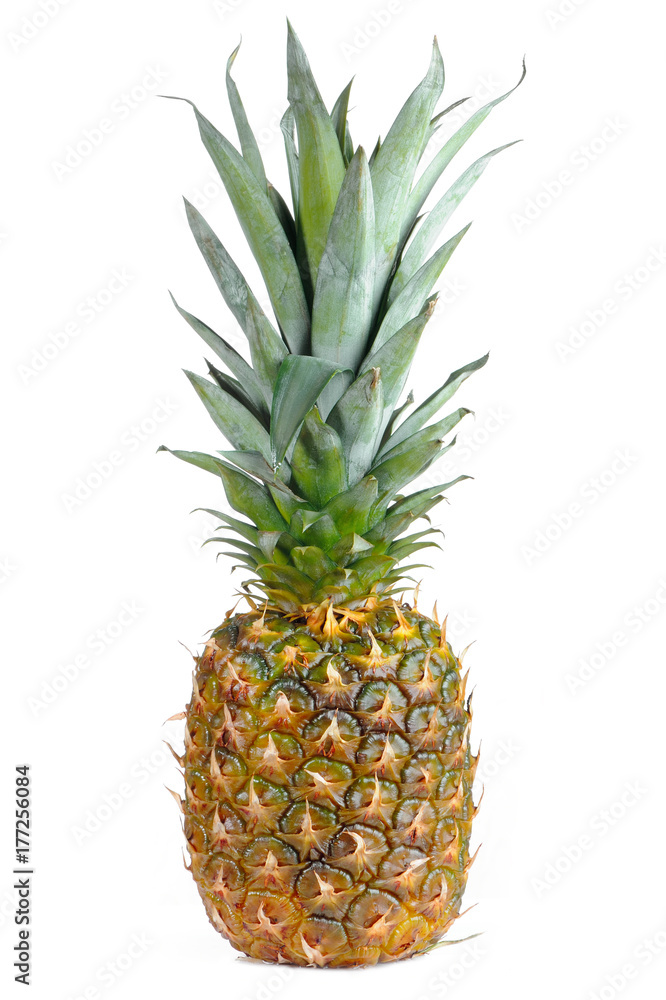 Pineapple Isolated on White Background Pineapple Isolated on White Background