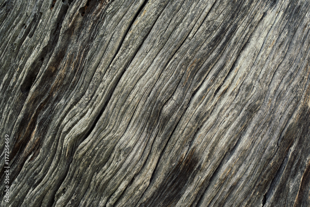 Wood Texture With Natural Pattern. closeup of wood texture Wood Texture With Natural Pattern. closeup of wood texture