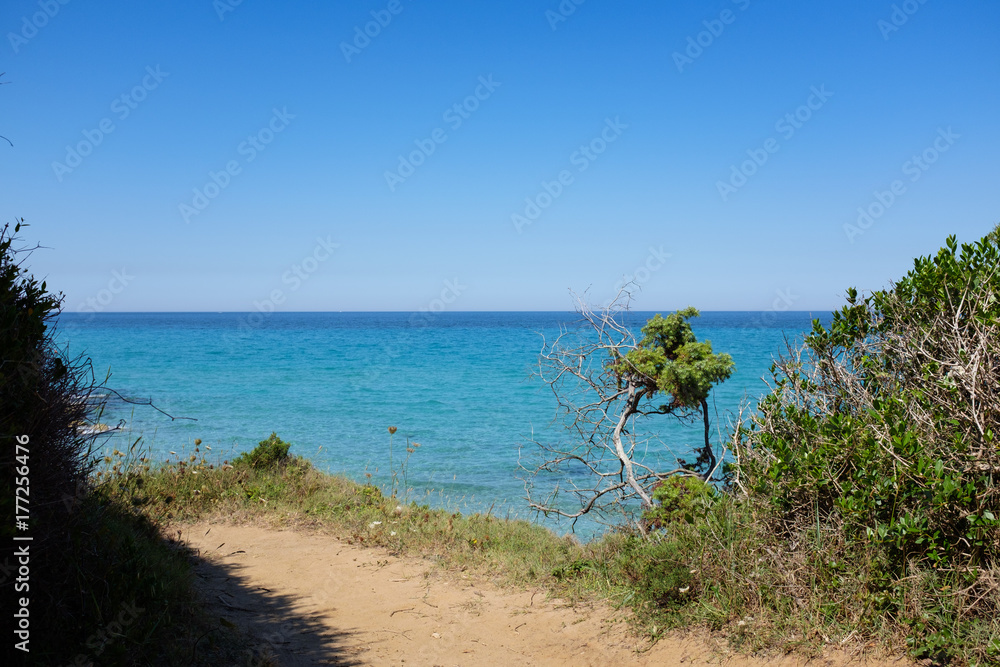 Apulian coastline in a summer day. Italy