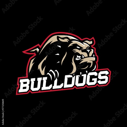 A mean looking cartoon bulldog with collar in sport vector logo style