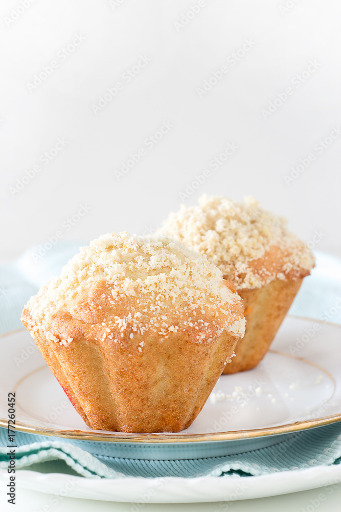 Pumpkin Apple Oats streusel Muffins on cooling rack. Selective focus. Copy space. Pumpkin Apple Oats streusel Muffins on cooling rack. Selective focus. Copy space.