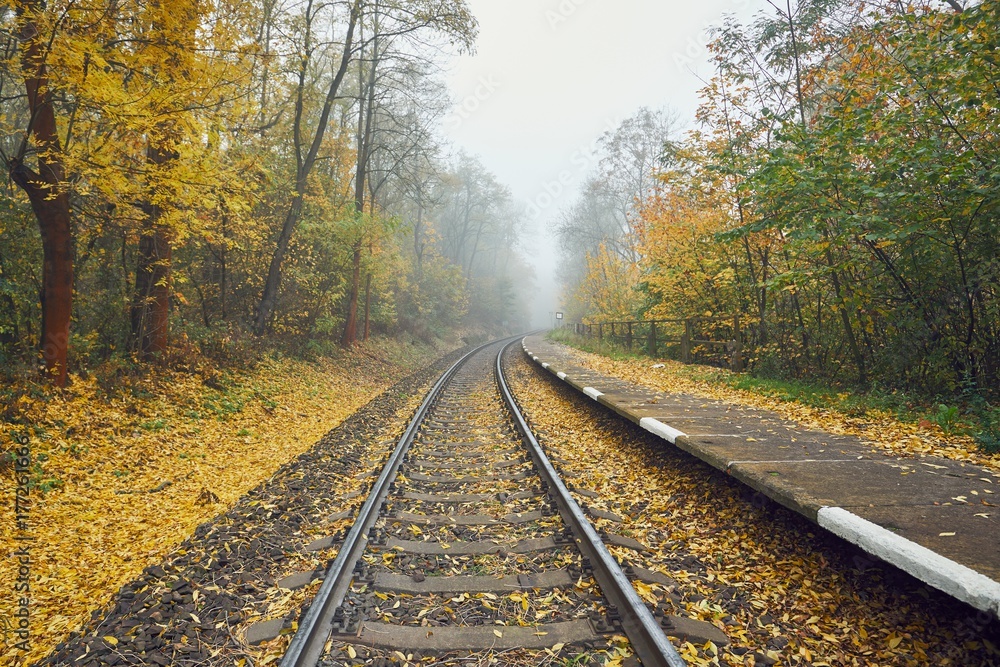 Fototapeta premium Rural railway station in fog