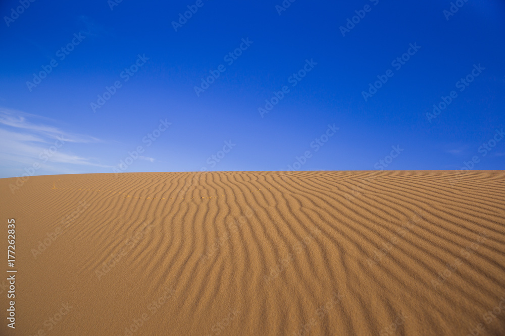 Naklejka premium White Dune