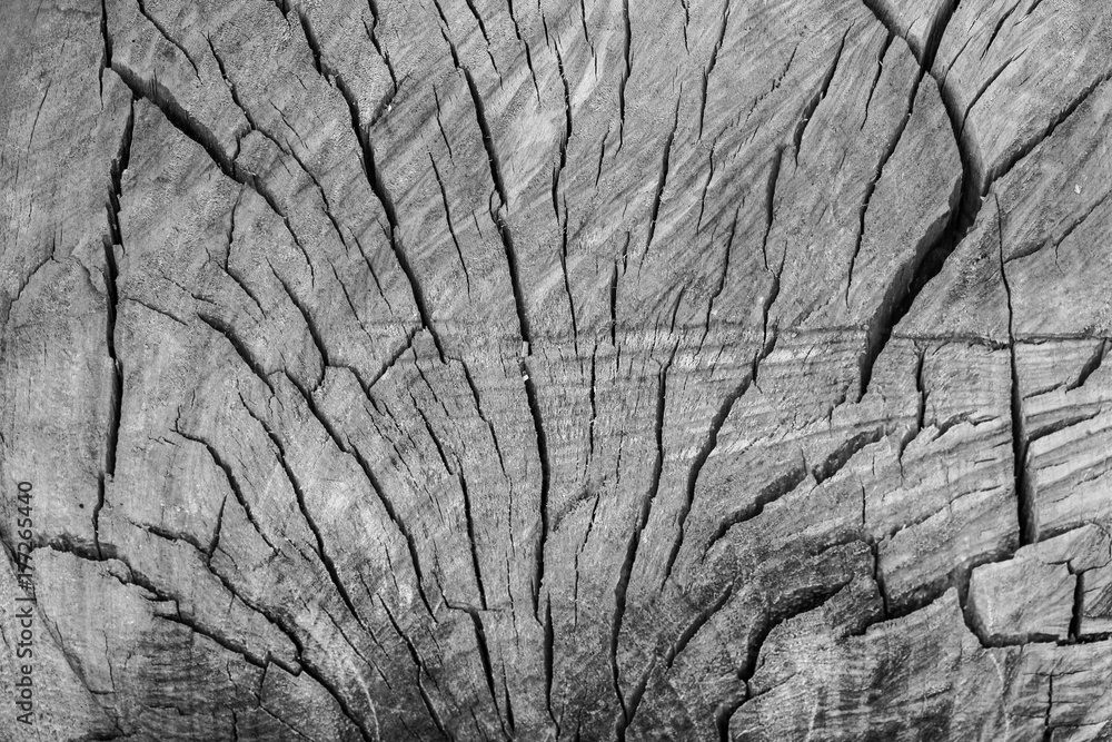 Wooden Swirls Organic Background Texture Wooden Swirls Organic Background Texture