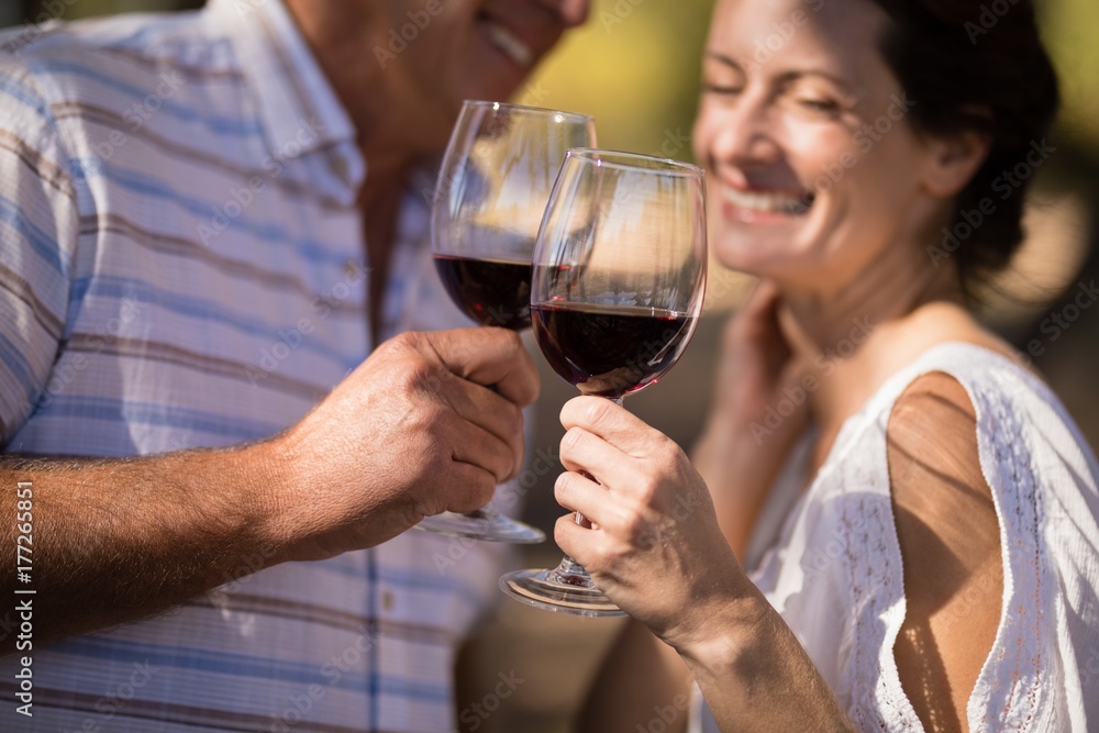 Smiling couple toasting a glass of red wine Smiling couple toasting a glass of red wine