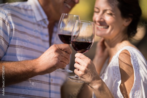 Smiling couple toasting a glass of red wine