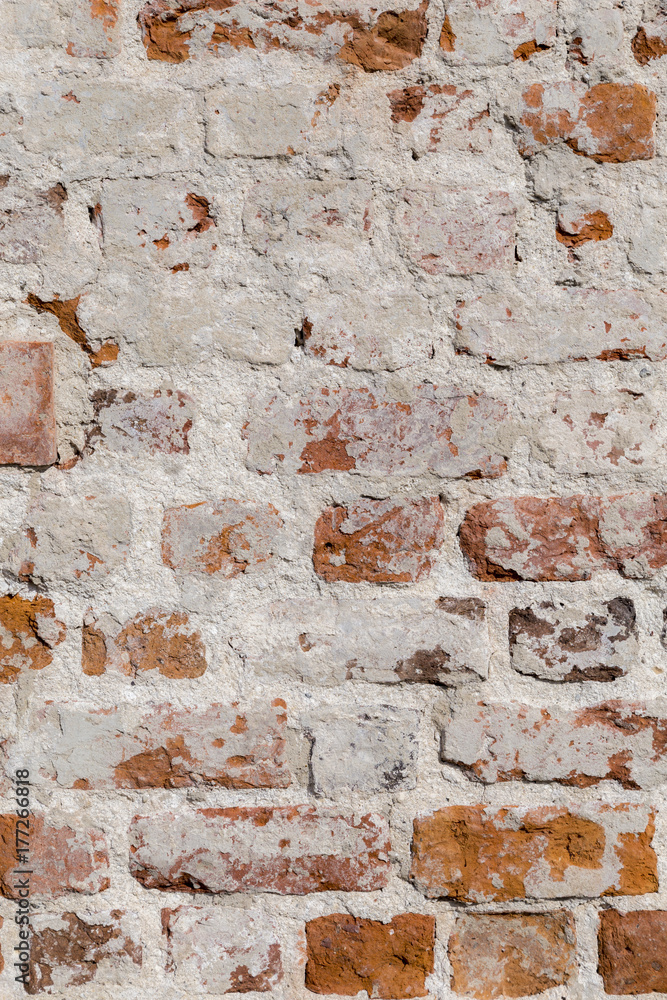 Fototapeta premium exterior Brick Wall. .