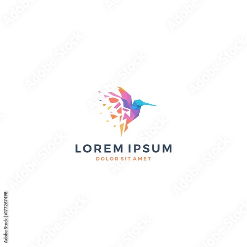 bird colibri hummingbird geometric shattered fractal fraction vibrant colorful logo vector icon template