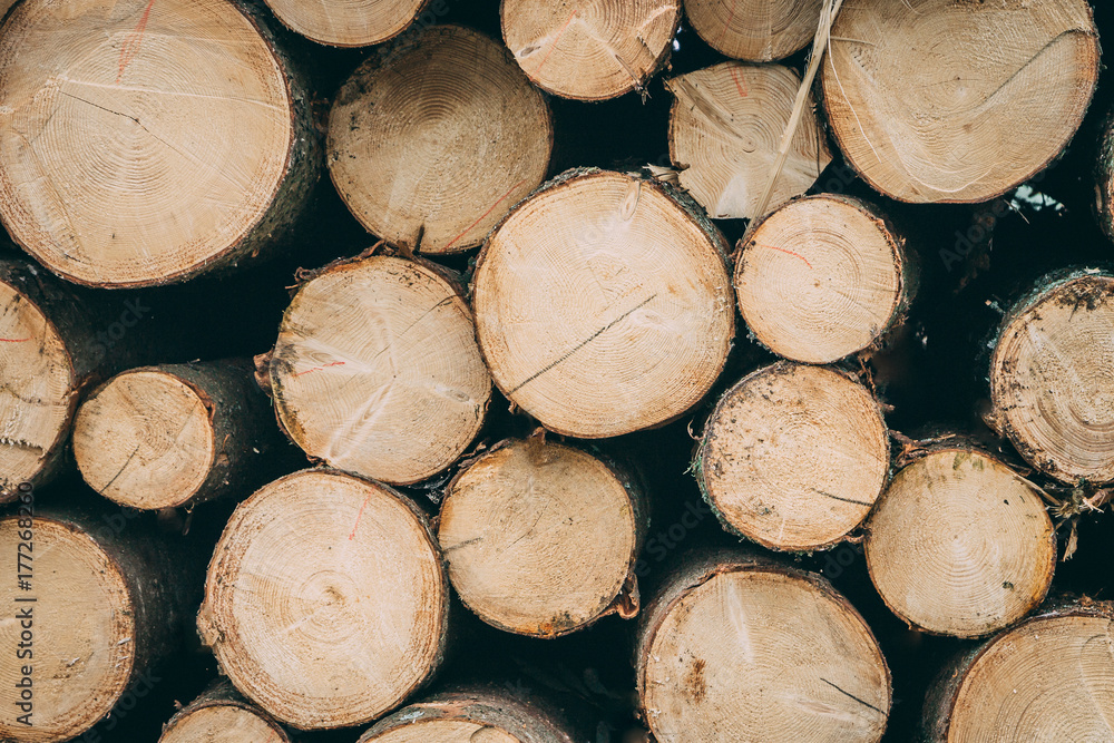 Pile of chopped woods, a log pattern bacground Pile of chopped woods, a log pattern bacground