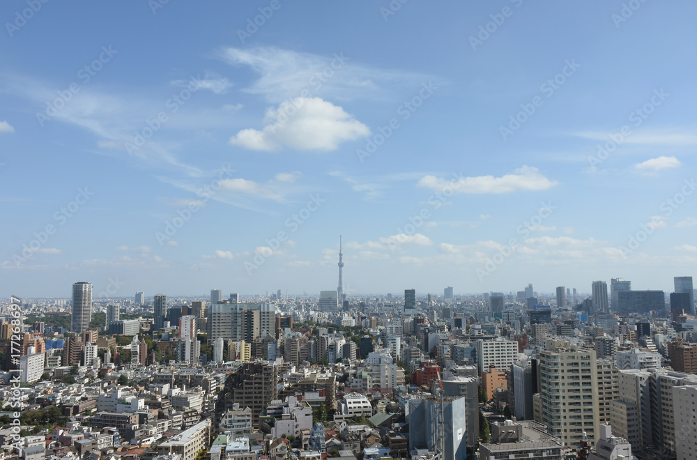 青空と雲・日本の東京都市景観（墨田区方向などを望む）