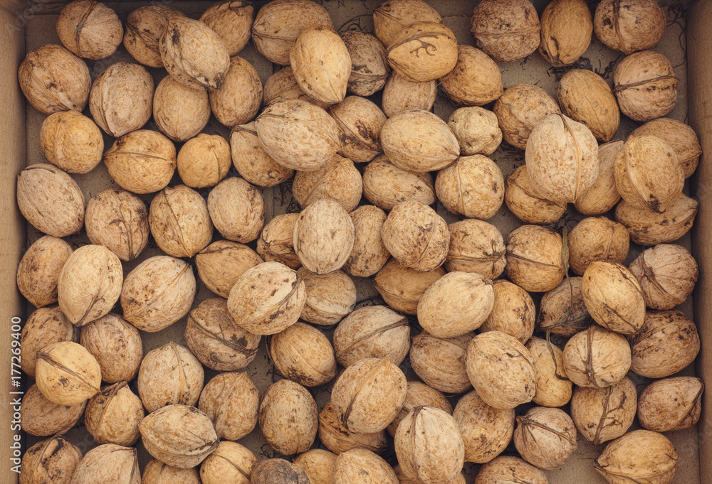 Fresh harvested walnuts in a box Fresh harvested walnuts in a box