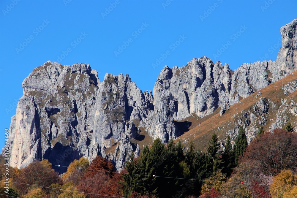 panorama montagna dolomiti italia rocce alberi autunno verde