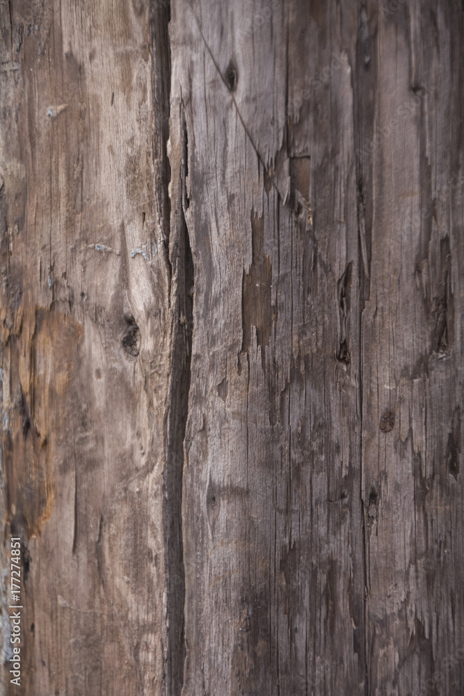 Old wood texture Old wood texture