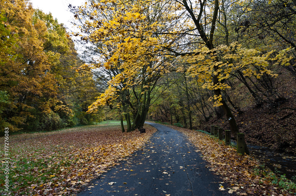 Obraz premium Autumn mood