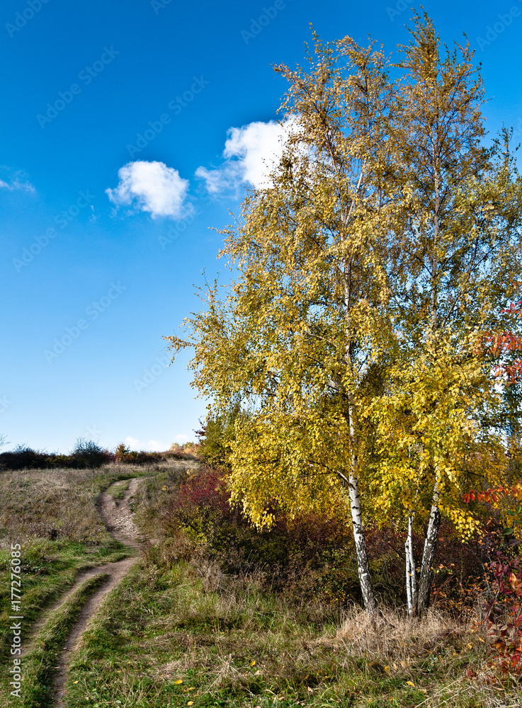Fototapeta premium Autumn mood