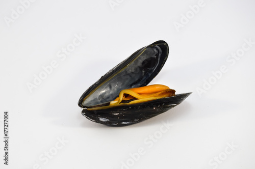 Mussel of Zeeland size super cooked