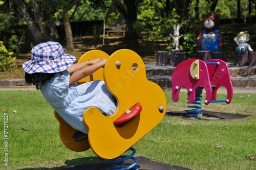Canvastavla 公園の動物の遊具