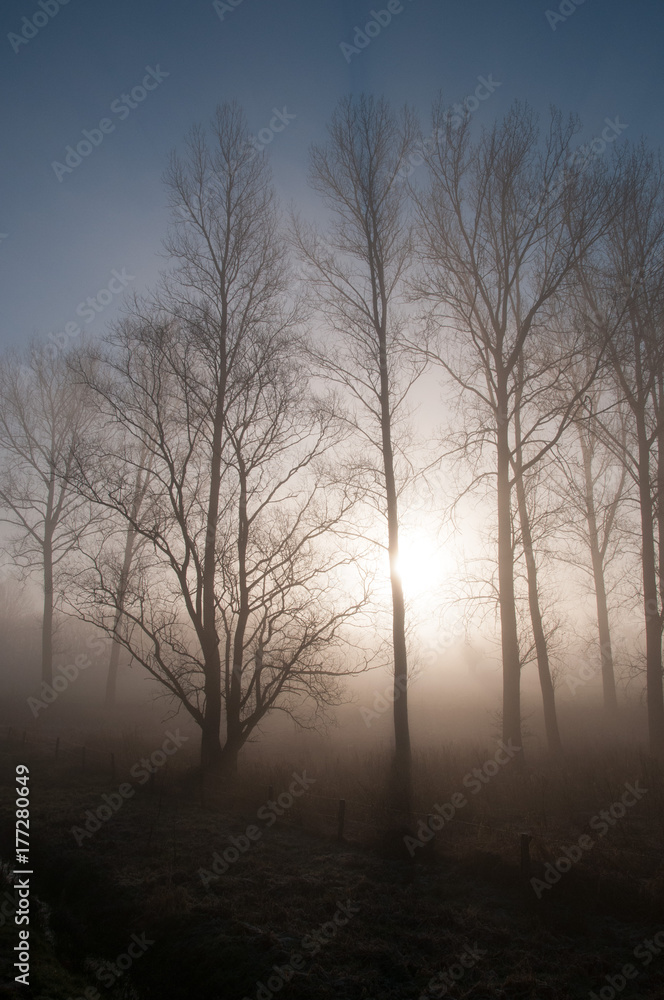 Early morning fog in East-Flanders Early morning fog in East-Flanders