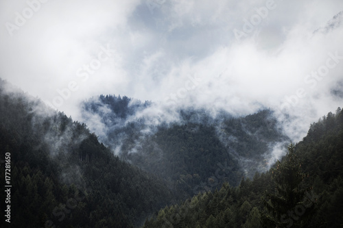 Landscape with misty mountains and forests © Kateina