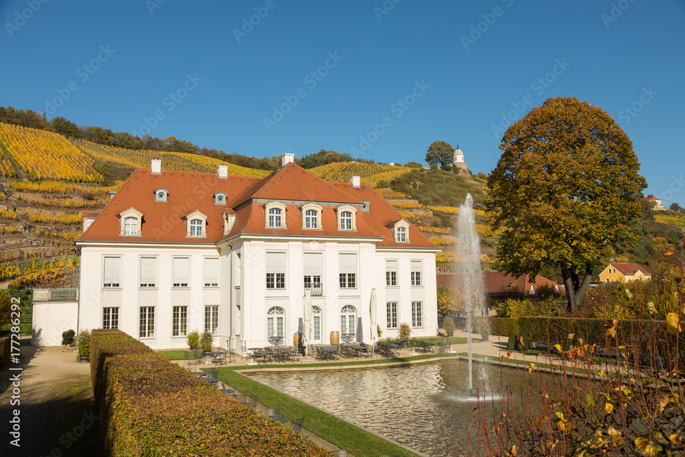 Radebeul mit Schloss Wackerbarth und Jacobstein in den Weinbergen im Herbst