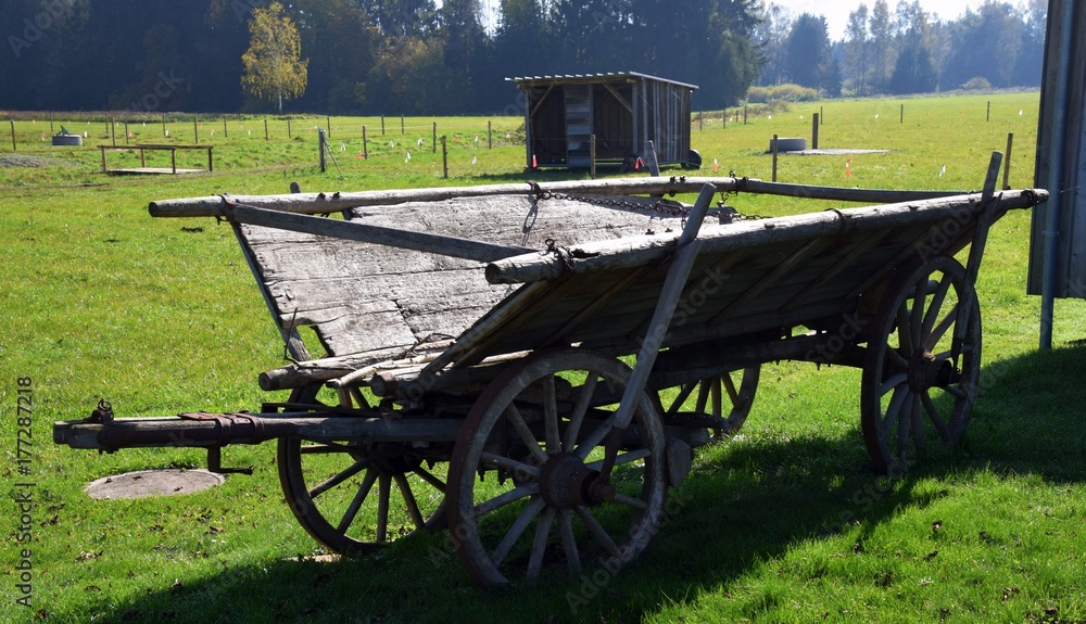 Antiker und restaurierter Leiterwagen, intakter Heuwagen in Bayern