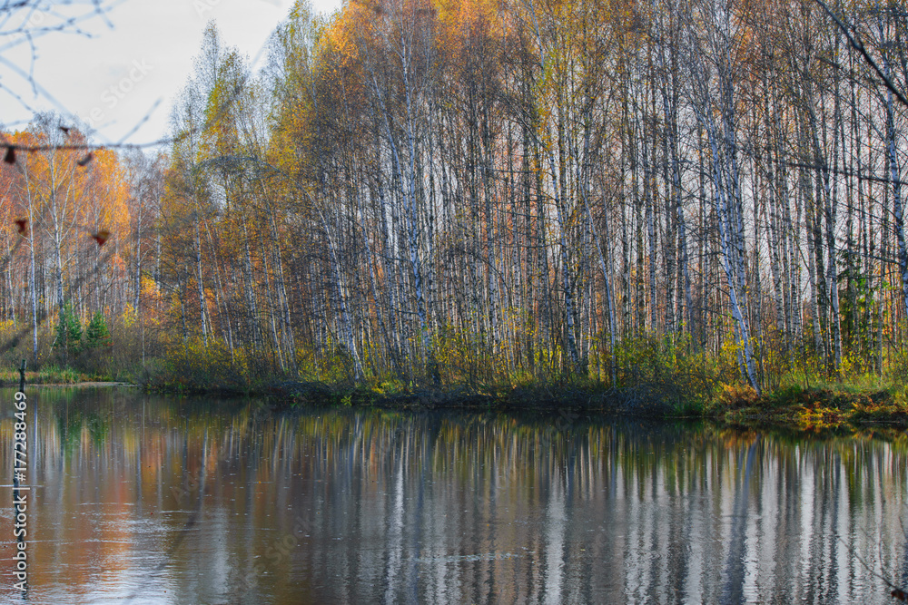 Obraz premium Golden autumn