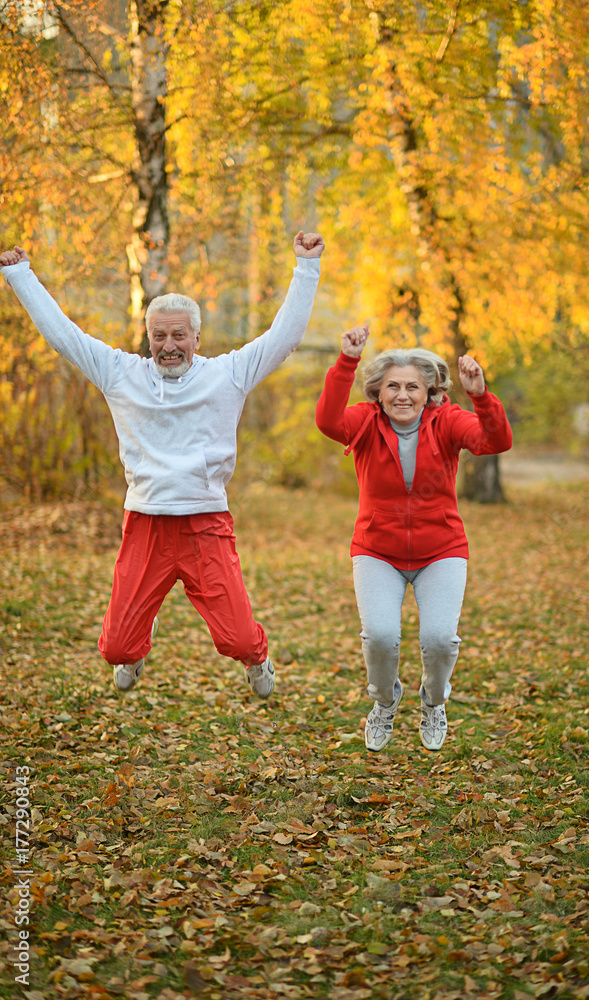 Fototapeta premium Amusing old couple