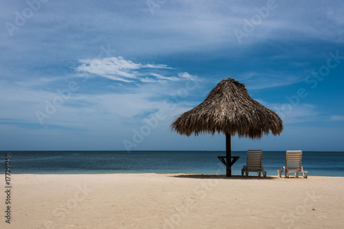 Caribbean/Tropical Beach Setting © Doug Miles 