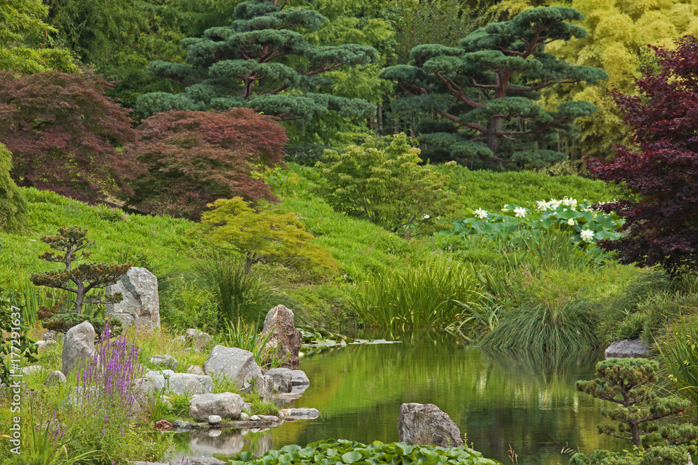 Jardin zen asiatique calme avec bassin paysagé et arboré. Jardin zen asiatique calme avec bassin paysagé et arboré.