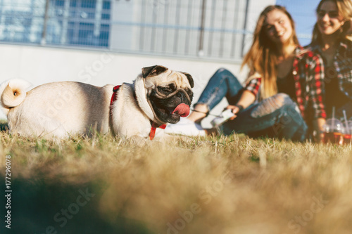 Two beautiful smiling sisters twins and dog pug sitting on green grass in the summer park. Focus on the dog © Romvy