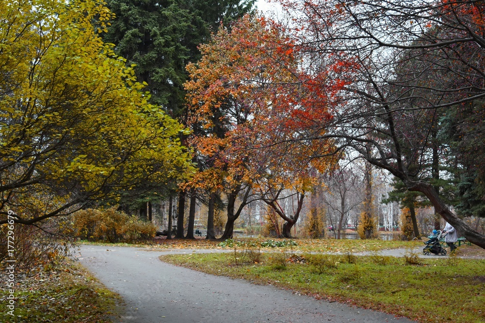 Fototapeta premium Autumn Park