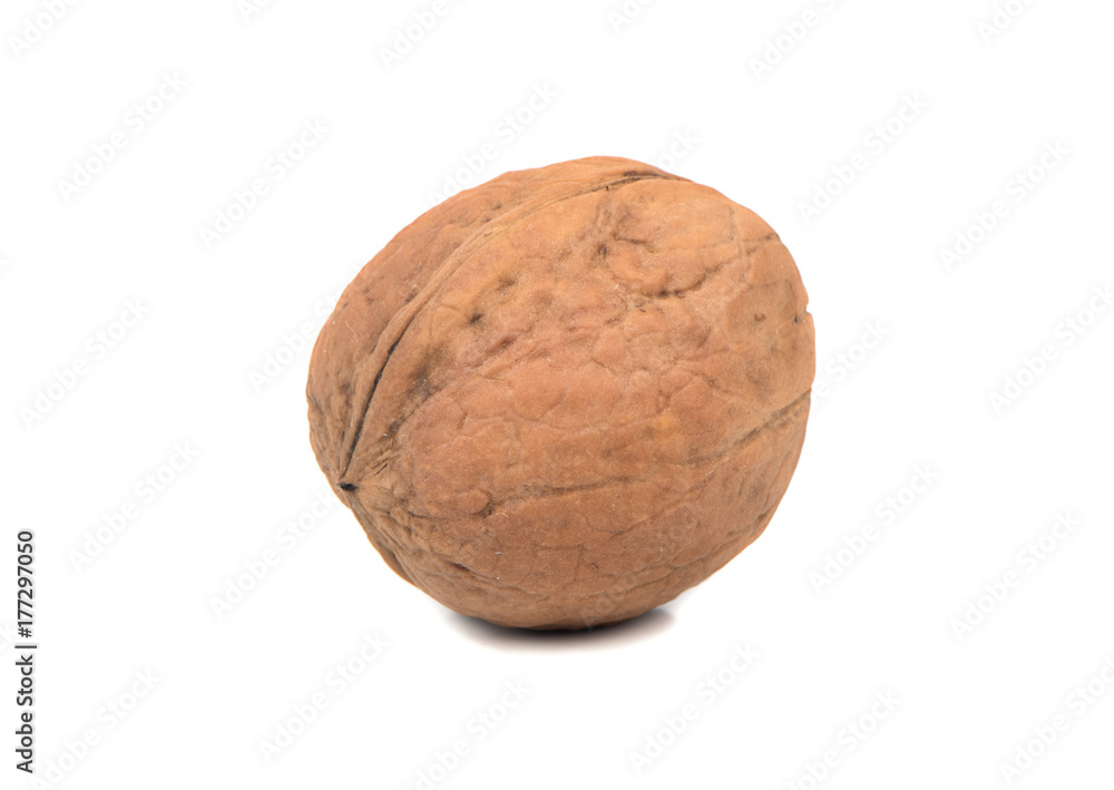 Walnut isolated Walnut isolated