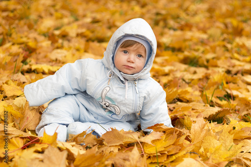 Cute baby boy playing in autumn park. Funny kid sitting among yellow leaves. Adorable toddler with oak and maple leaf. Fall foliage. Autumn concept