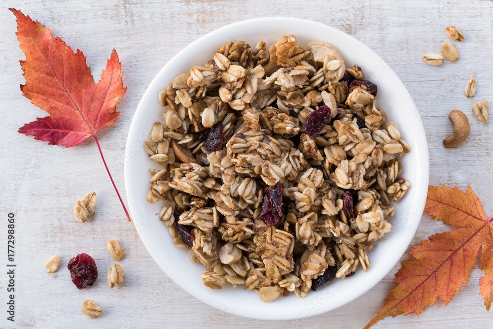 Cranberry Cashew Granola in a Bowl Cranberry Cashew Granola in a Bowl