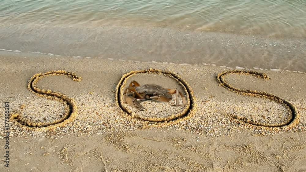 Crab and an inscription on sand, the beach. Crab and an inscription on sand, the beach.