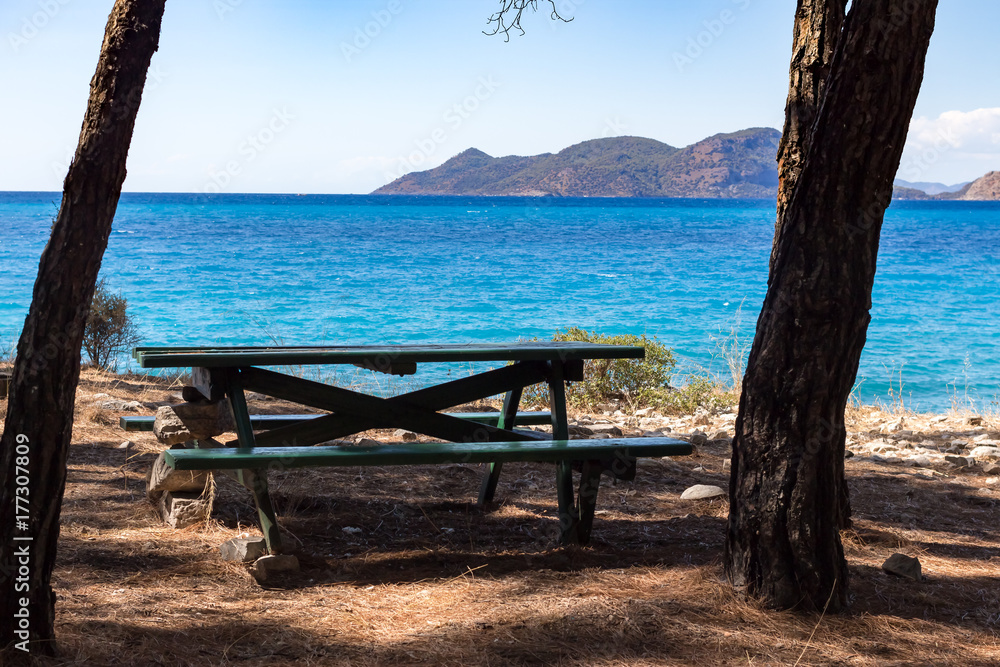 Fototapeta premium bench and table in the shadow of a tree on the beach with sea view