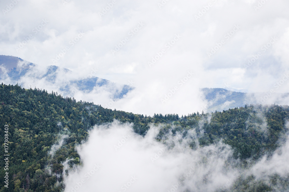 Paysage d'Alsace Paysage d'Alsace