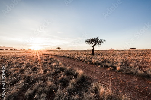 Sunrise Desert Track 