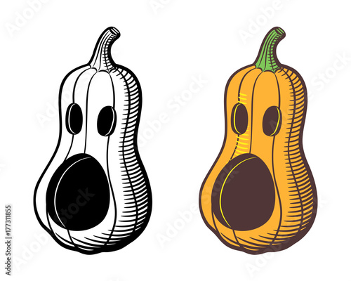 Stylized vector image of jack-o-lantern. Butternut squash carved for Halloween. Outline and colored version