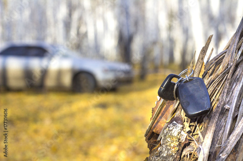 Εκτύπωση καμβά forgotten car keys on a tree in an autumn forest, a background of a blurred car