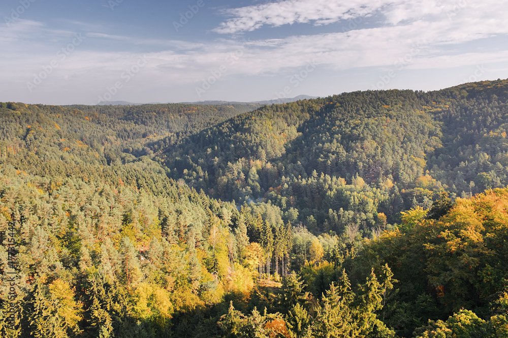 Autumnal forests in  in Kokorinsko landscape area in Czech republic at morning