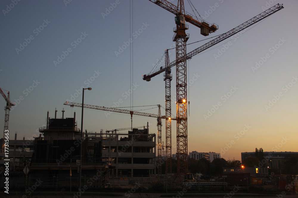 Skyline of cranes