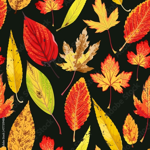 Wallpaper Mural Autumn pattern with leaves Torontodigital.ca