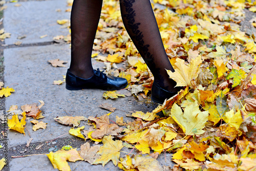 Feet, Legs of shoes walking on fall leaves. Outdoor with Autumn season nature on background. Lifestyle. Fashion trendy style