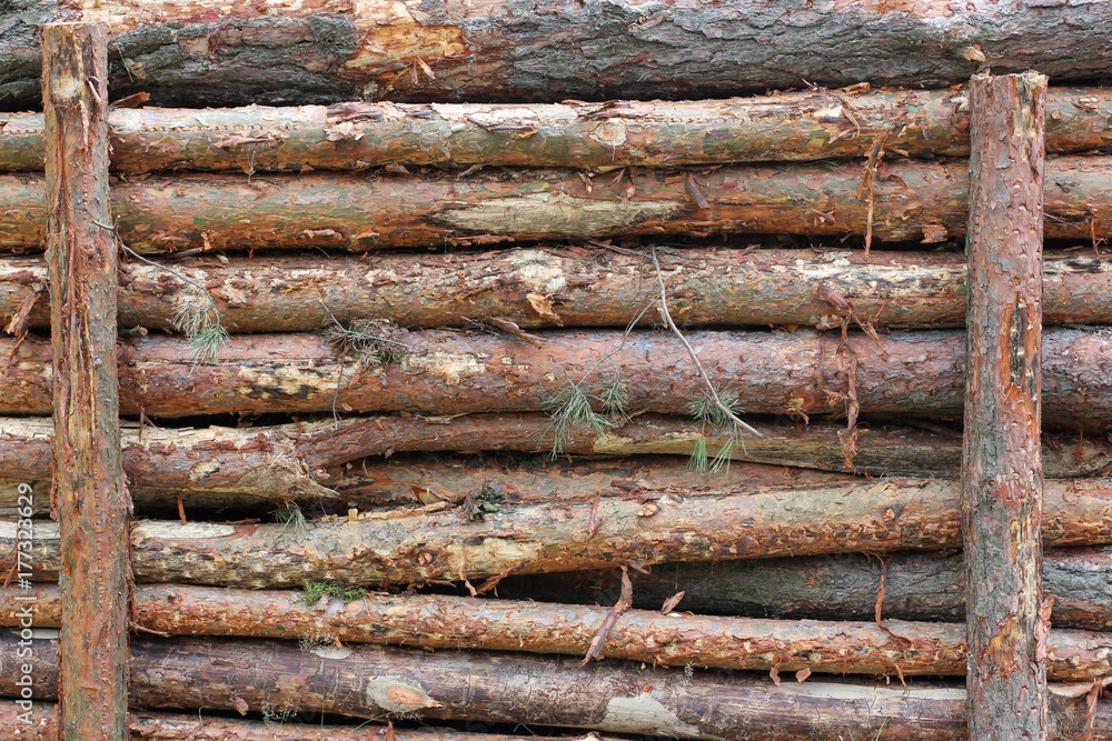 pile of wooden logs