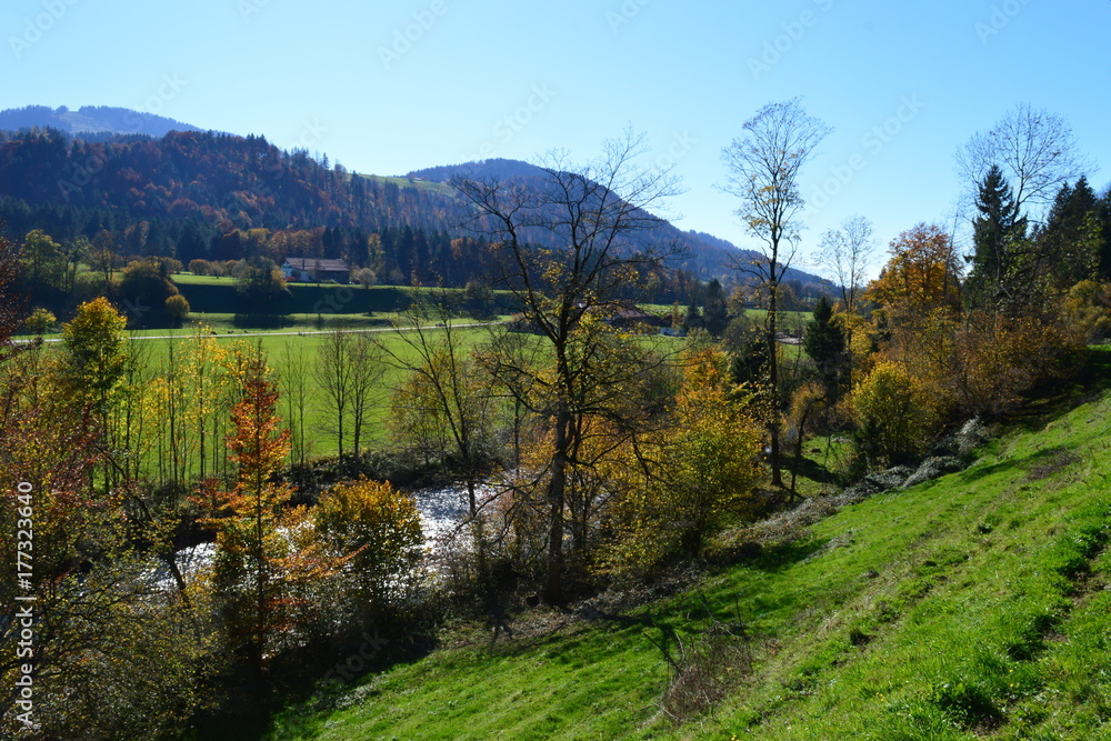 Wanderweg bei Oberstaufen im Allgäu im Herbst Stock Photo | Adobe Stock